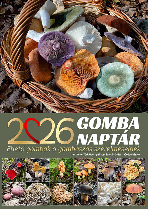 Ehető Gombák falinaptár A4